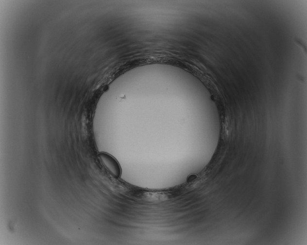 X0000102040520200807181033