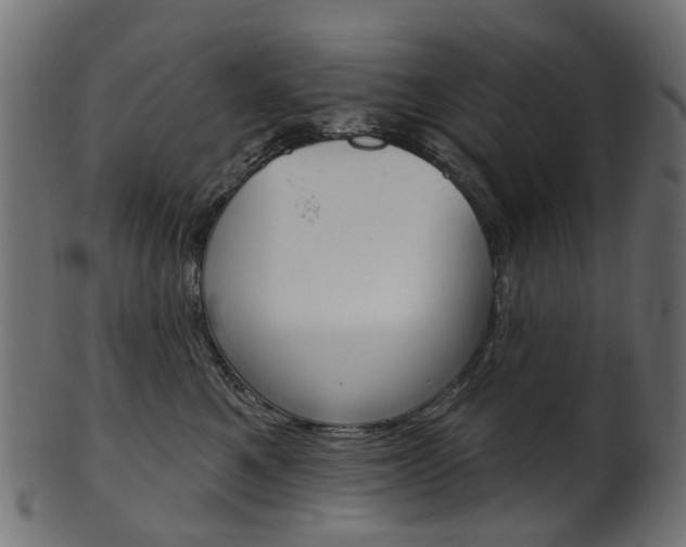 X0000102040521200807181033