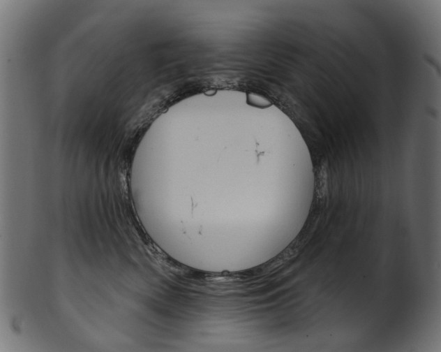 X0000102040522200807181033