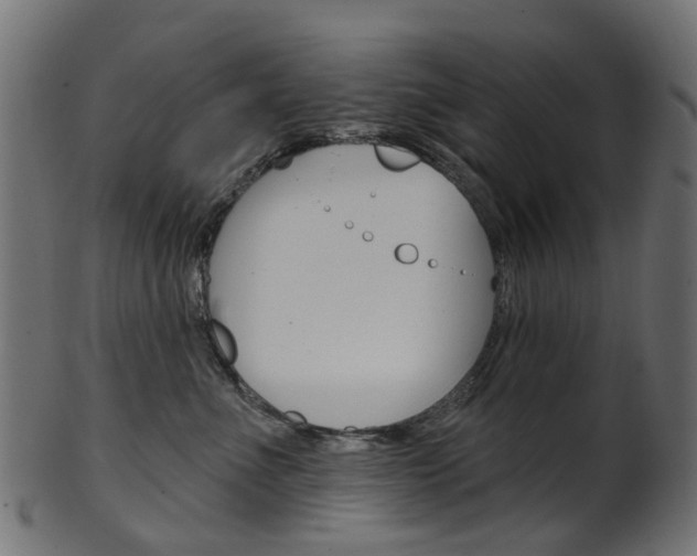 X0000102040523200807181033