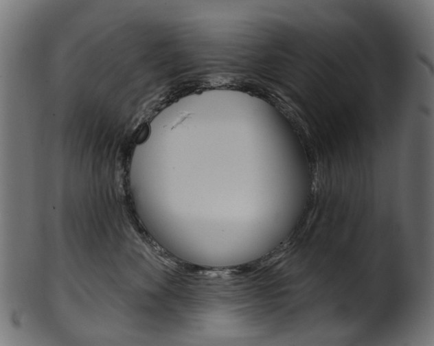 X0000102040524200807181032