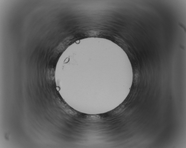 X0000102040525200807181032