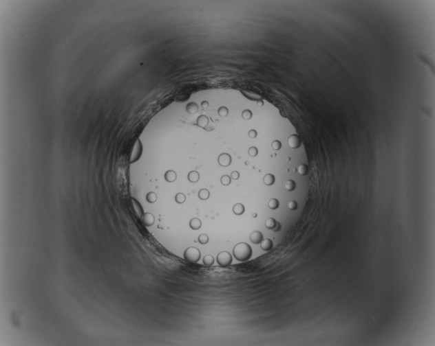 X0000102040527200807181032