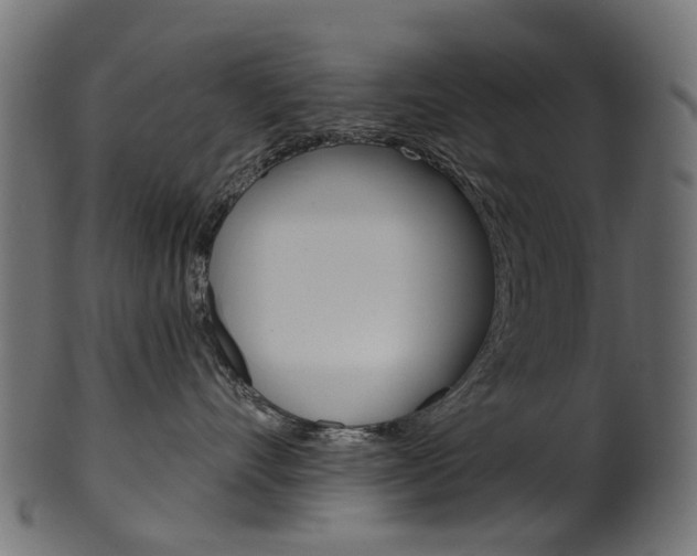 X0000102040528200807181032