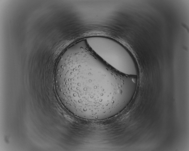 X0000102040529200807181032