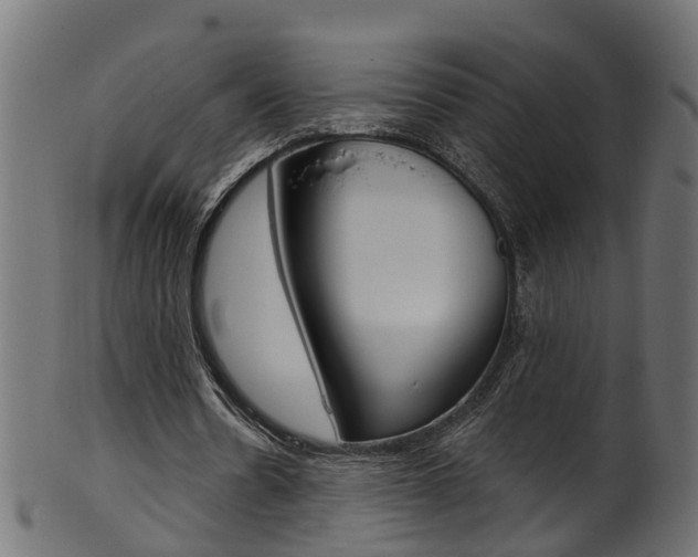 X0000102040530200807181032