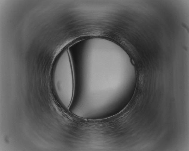 X0000102040532200807181032