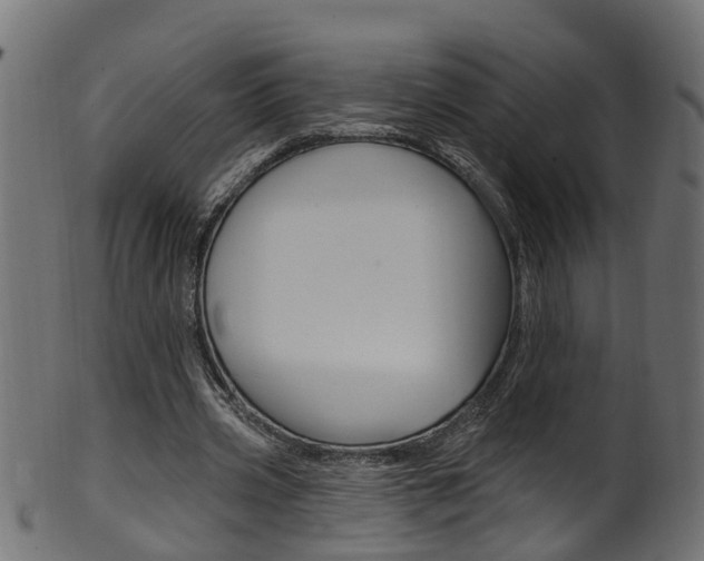 X0000102040533200807181032