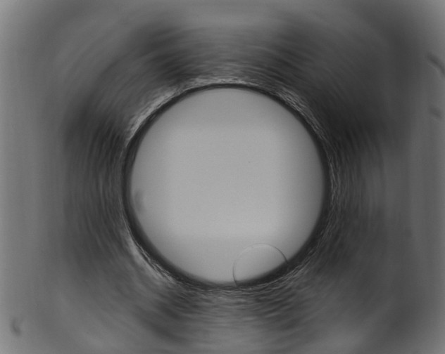 X0000102040534200807181032