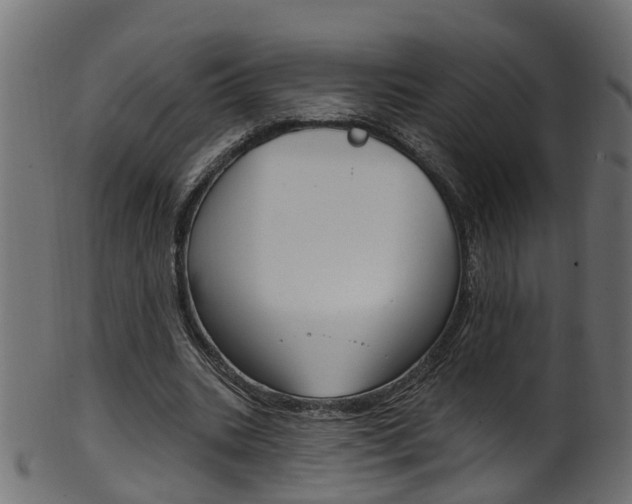 X0000102040535200807181032