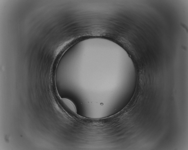 X0000102040536200807181032