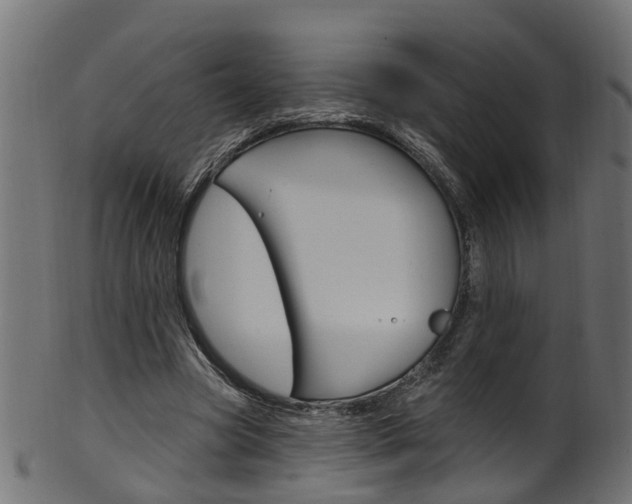 X0000102040537200807181032
