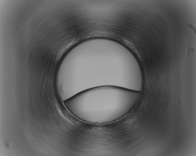X0000102040538200807181032