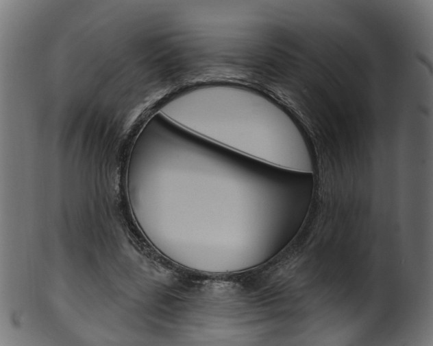 X0000102040539200807181032