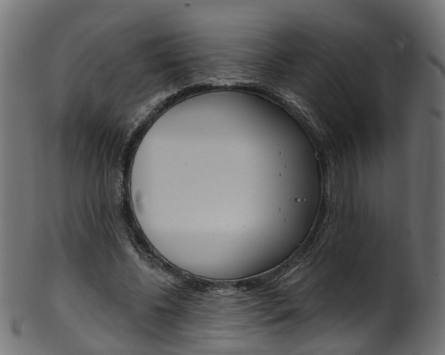 X0000102040540200807181032
