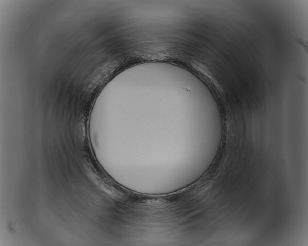 X0000102040541200807181032