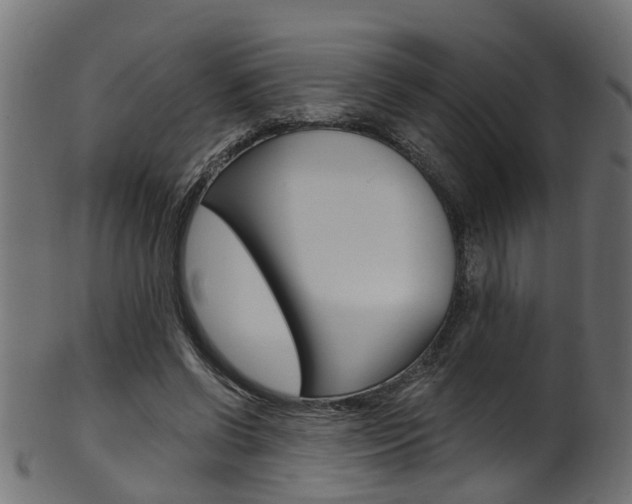 X0000102040542200807181032