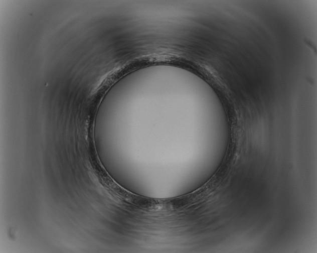 X0000102040543200807181032