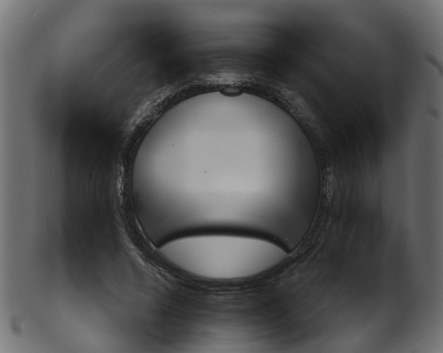 X0000102040544200807181032