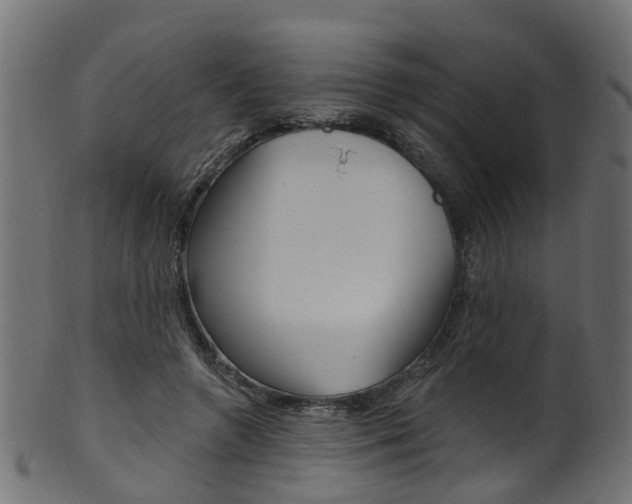 X0000102040546200807181032