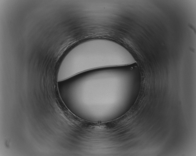 X0000102040548200807181032