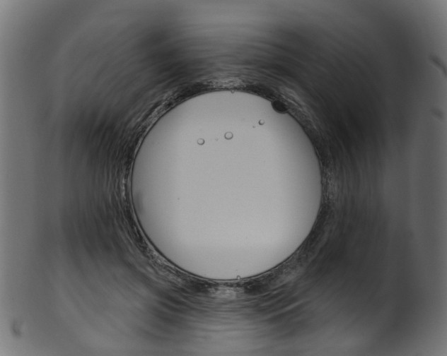 X0000102040549200807181032