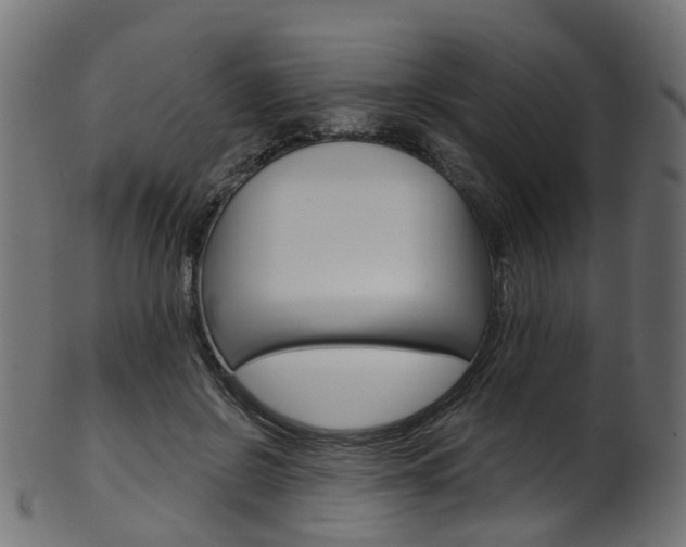 X0000102040550200807181032
