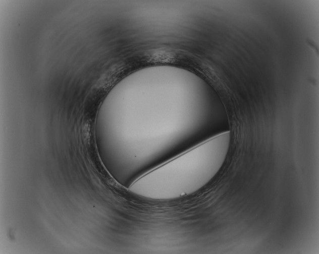 X0000102040551200807181032