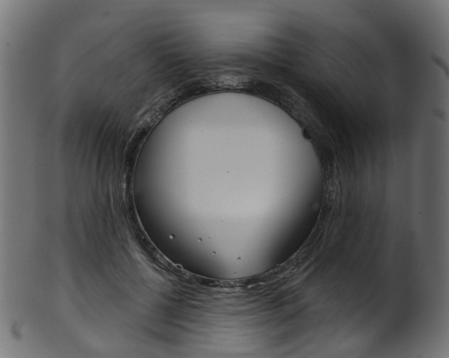 X0000102040552200807181032