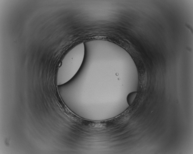 X0000102040553200807181032