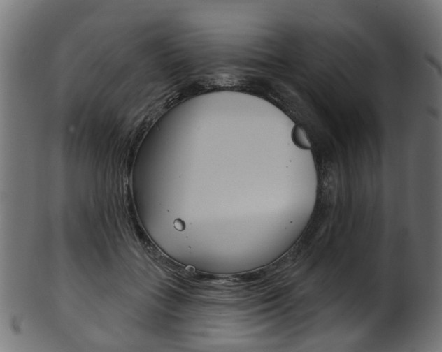 X0000102040555200807181032