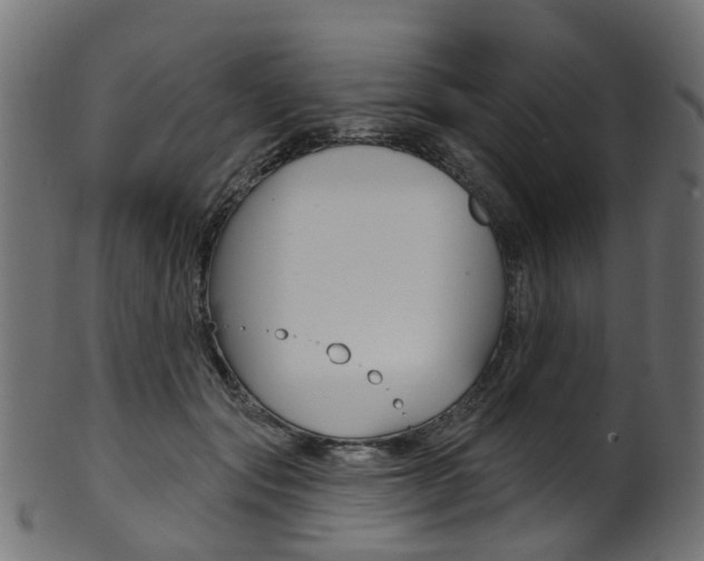 X0000102040557200807181032