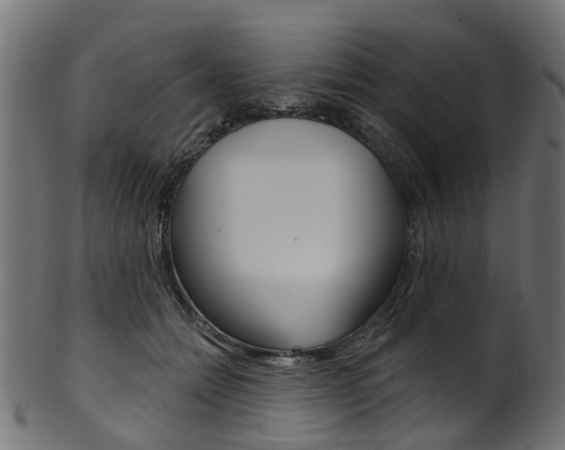 X0000102040558200807181032