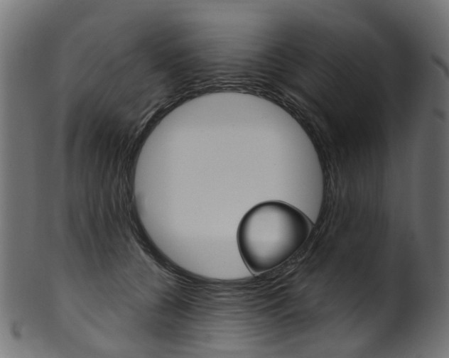 X0000102040560200807181032