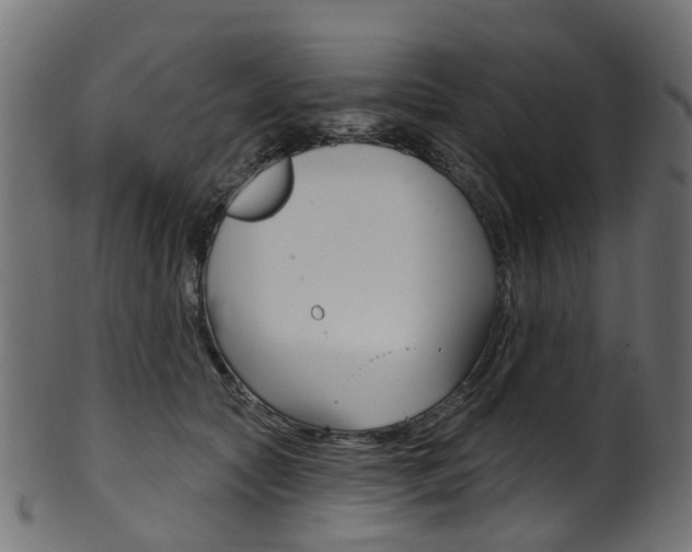 X0000102040561200807181032