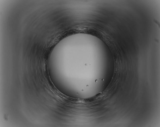 X0000102040562200807181032