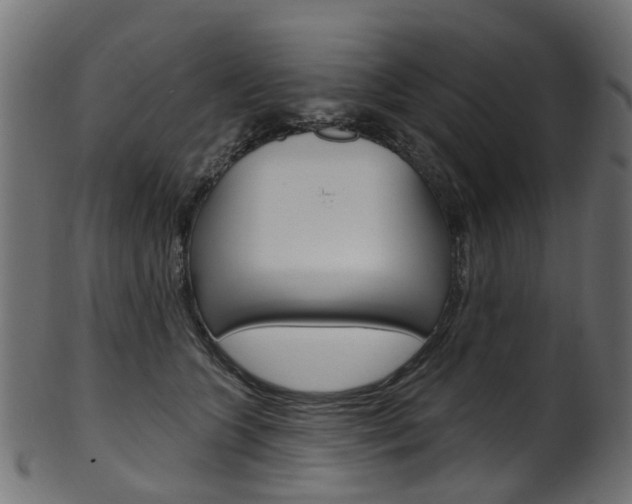 X0000102040563200807181032