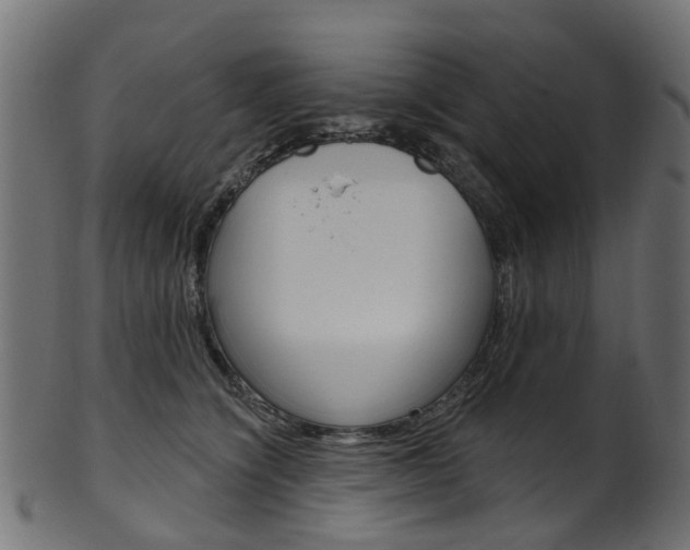 X0000102040564200807181032
