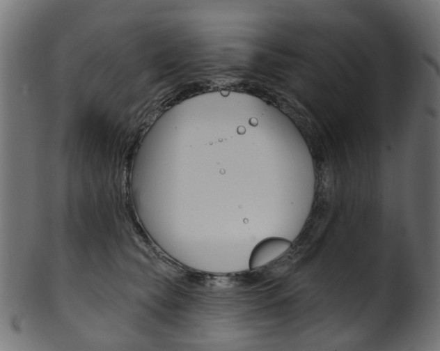X0000102040565200807181032