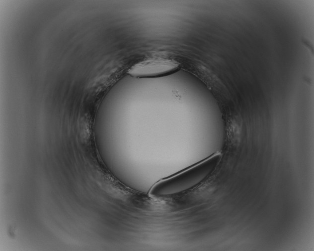 X0000102040566200807181032