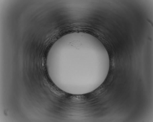 X0000102040567200807181032