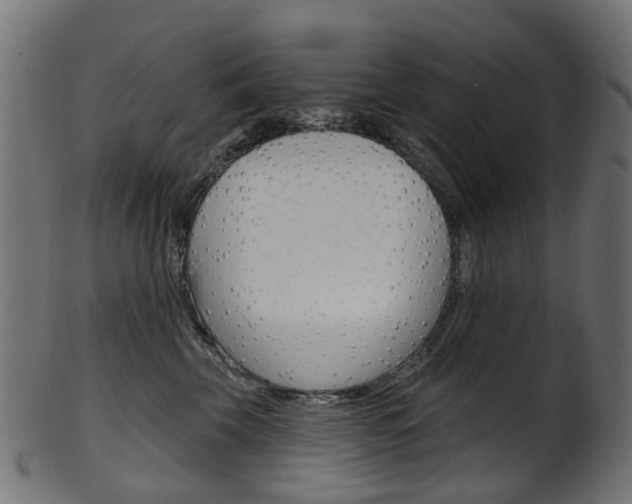 X0000102040569200807181032