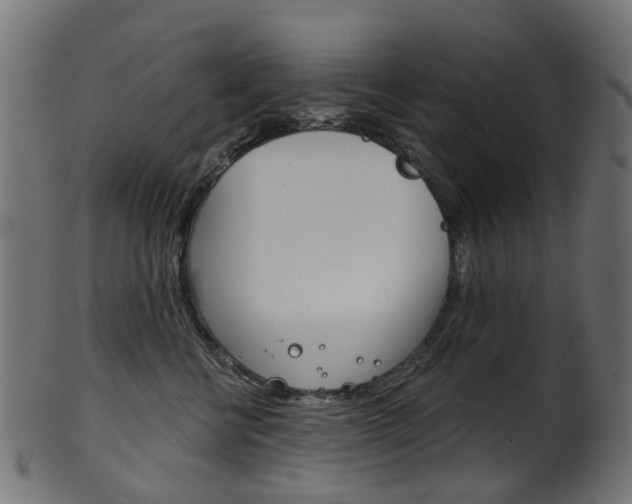 X0000102040570200807181032