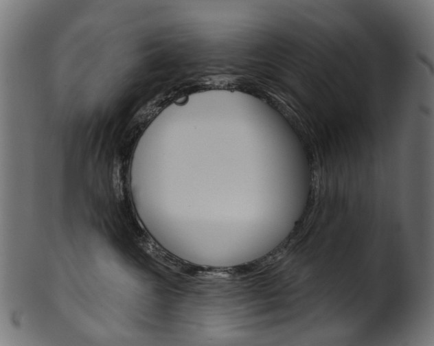 X0000102040572200807181032