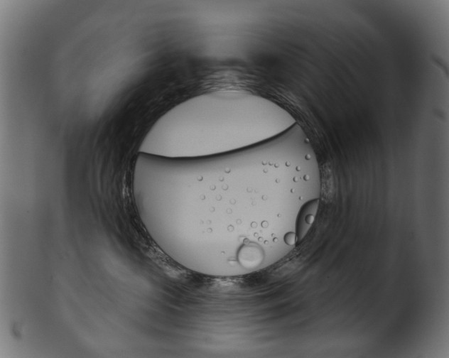 X0000102040573200807181032