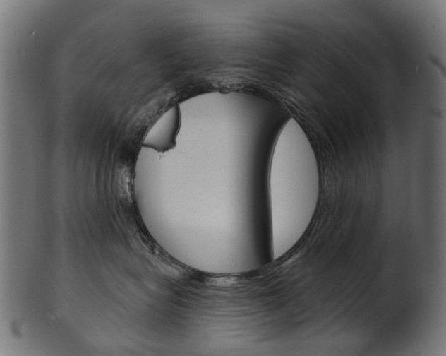 X0000102040575200807181032