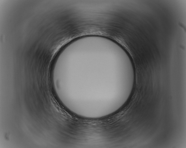 X0000102040579200807181032