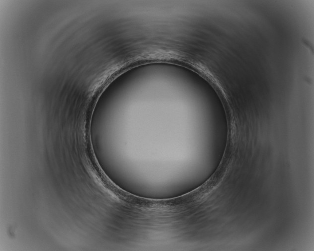 X0000102040581200807181032