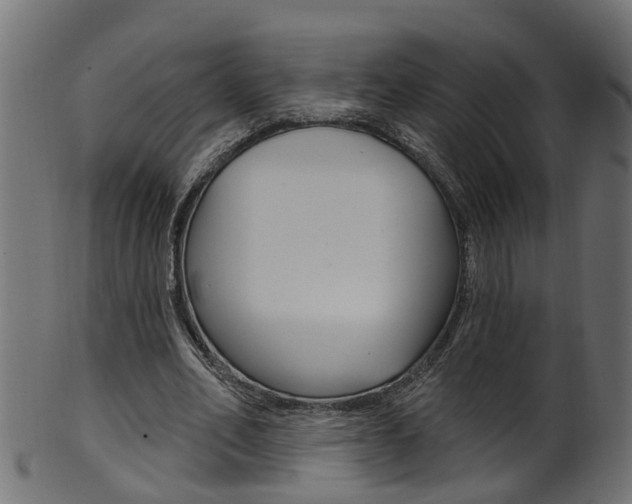 X0000102040582200807181032