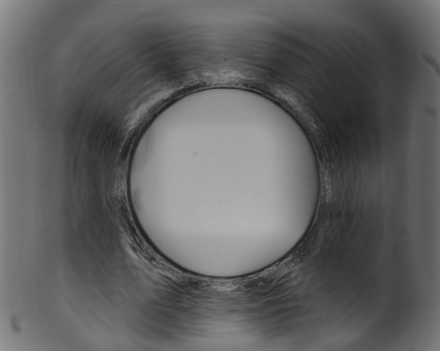 X0000102040583200807181032
